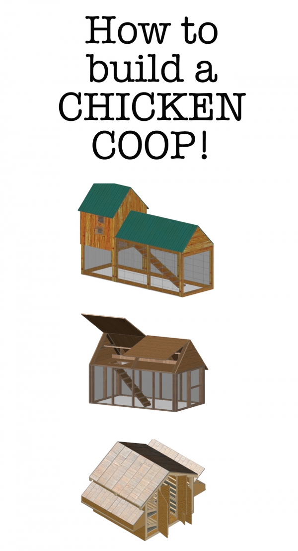 How to build a chicken coop